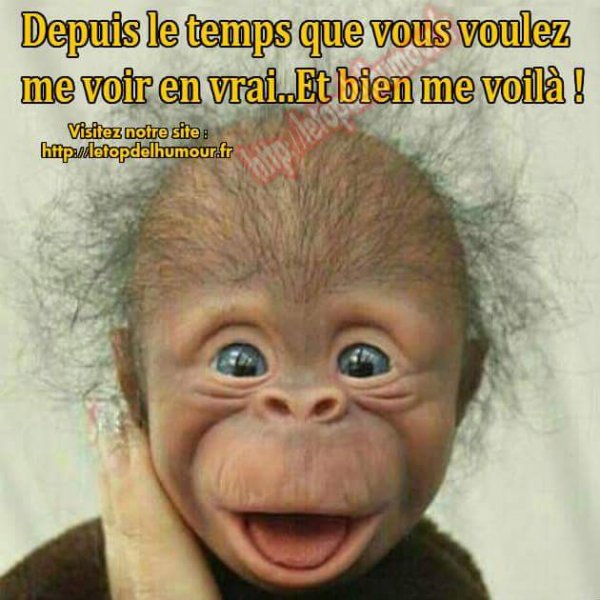 Rencontre catho gay Rencontre catho gay