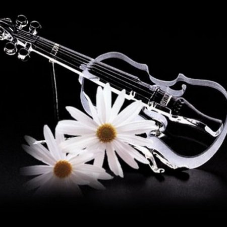 leonidas.le.spartiate