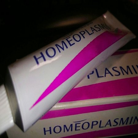 homeoplasmine