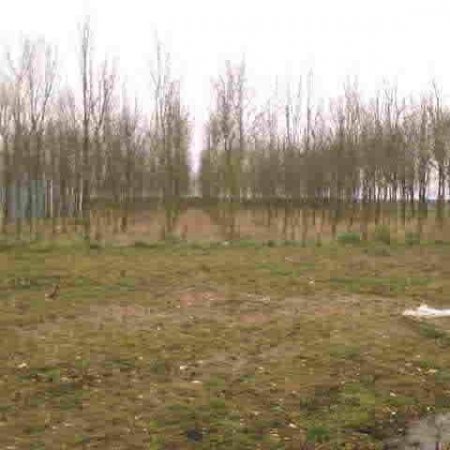 coeur-libre-aprendre014