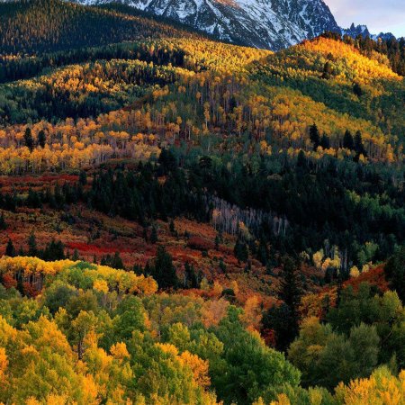 nadegeamelyachampeau