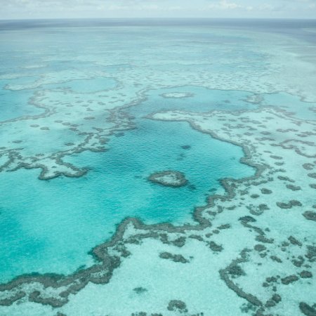 lapetitechouettedu43