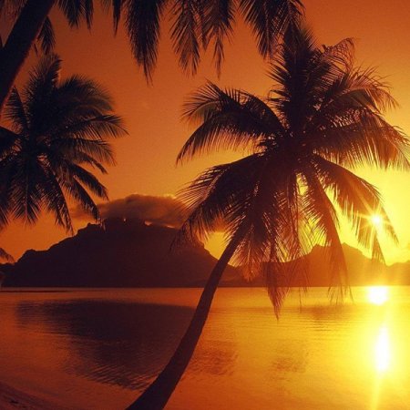 christophelhermiteau