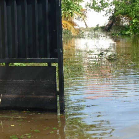 larmefatal12345667890