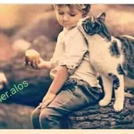 adelsalam11111111111