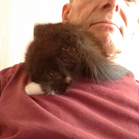 jeanfrancoiswijnandt