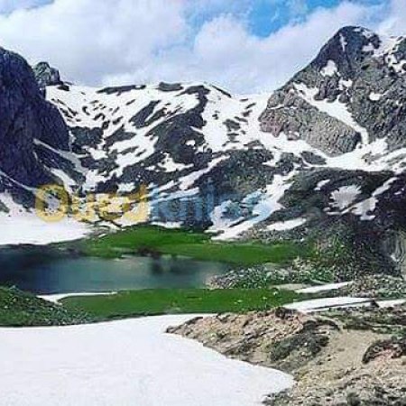 bellefemmealgerienne87