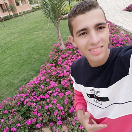 adelelsayed0114473818