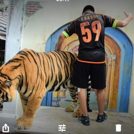 chaoui59