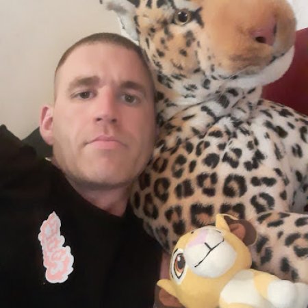 ant14753690147852369