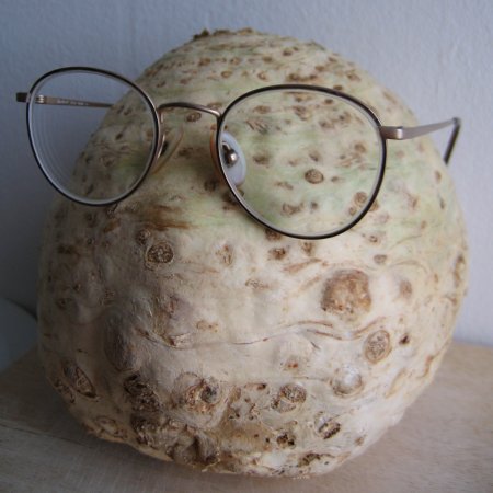 sanspeuretsansespoir