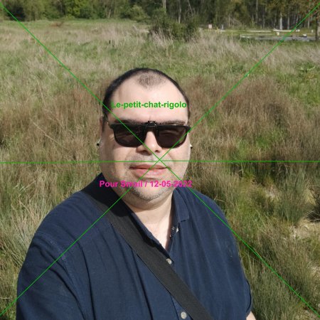 le-petit-chat-rigolo