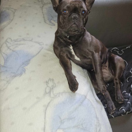 amourefgerfrrfrferf123456789