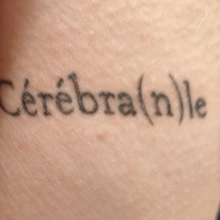 cerebranle