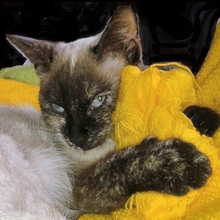 amethystehautsdefrance