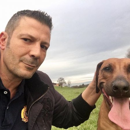 dominiquelemaire4845