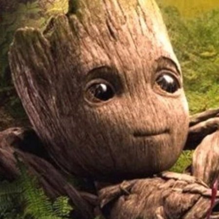 des-racines-et-des-herbes