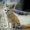 Photo de bacher55