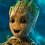Photo de groot