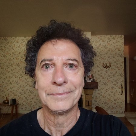 carlitovitrysurseine