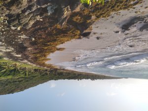 Photos de antillais10