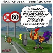 franky034