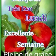 decome37
