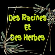 des-racines-et-des-herbes