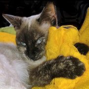 amethystehautsdefrance