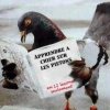Photos de rienpourplaire