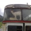Photos de mirak30