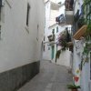 Photos de badseed