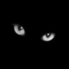 Photo de dragon_noir_erkaniann