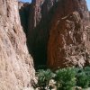 Photos de itrinyid