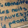 Photos de menthe