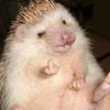 Photos de pourquoi_suis_la