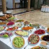 Photos de moncef75