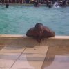 Photos de ramses620