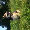 Photos de mick29200