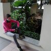 Photos de remiz