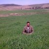 Photos de rabah05