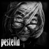 Photo de pestella