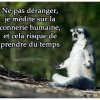 Photo de nath291