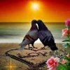 Photo de romeo-juliette