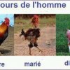 Photos de camymoi