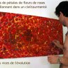 Photos de revoila