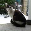 Photo de kemoua