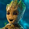 Photo de groot