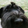 Photo de teddynours