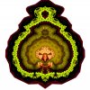 Photos de newlife69